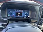 2024 Ford F-150 SuperCrew Cab 4WD Pickup for sale #14038924 - photo 19
