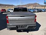 2023 Chevrolet Silverado 1500 Crew Cab 4WD Pickup for sale #14039630 - photo 6