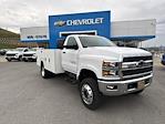 2024 Chevrolet Silverado 5500 Regular Cab DRW 4WD, Stahl Challenger ST Service Truck for sale #50036803 - photo 1