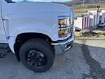 2024 Chevrolet Silverado 6500 Regular Cab DRW 2WD, Bay Bridge Sheet and Post Box Truck for sale #50037491 - photo 3