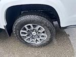 2025 Chevrolet Colorado Crew Cab 4WD Pickup for sale #50039248 - photo 8