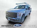 2024 Ford F-250 Crew Cab 4x2, Scelzi Signature Service Truck for sale #FT24112 - photo 1