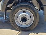 2025 Ford F-550 Regular Cab DRW 4x2 Cab Chassis for sale #FT25144 - photo 37