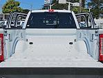 2025 Ford F-250 Crew Cab 4x4 Pickup for sale #FT251461 - photo 12