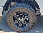 2025 Ford F-250 Crew Cab 4x4 Pickup for sale #FT251461 - photo 37