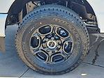 2025 Ford F-350 Regular Cab SRW 4x4 Pickup for sale #FT25149 - photo 36