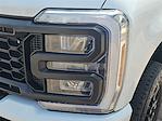2025 Ford F-350 Regular Cab SRW 4x4 Pickup for sale #FT25185 - photo 33