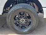 2025 Ford F-350 Regular Cab SRW 4x4 Pickup for sale #FT25185 - photo 39