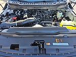 New 2026 Ford F-250 Regular Cab Pickup for sale #FT26016 - photo 31