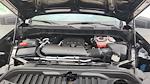 2025 Chevrolet Silverado 1500 Regular Cab 4x4 Pickup for sale #36306N - photo 20