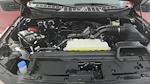 2024 Ford F-150 SuperCrew Cab 4x4 Pickup for sale #36498A - photo 11