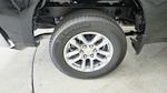 2025 Chevrolet Silverado 1500 Crew Cab 4WD Pickup for sale #36557N - photo 13