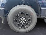 2025 Ford F-250 Crew Cab 4x4 Pickup for sale #ED01752 - photo 17
