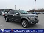 Used 2018 Ford F-150 Platinum SuperCrew Cab for sale #FC00892B - photo 3