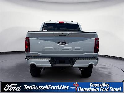 New 2025 Ford F-150 Tremor SuperCrew Cab 4WD Pickup for sale #FC03374 - photo 1