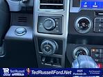 Used 2020 Ford F-150 Platinum SuperCrew Cab for sale #FC04726A - photo 17