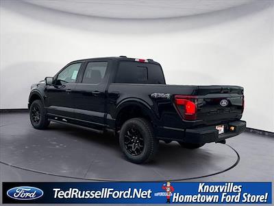 2025 Ford F-150 SuperCrew Cab 4x4 Pickup for sale #KD64391 - photo 1