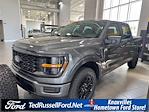 2025 Ford F-150 SuperCrew Cab 4x4 Pickup for sale #KD66389 - photo 1