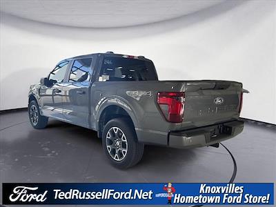 2025 Ford F-150 SuperCrew Cab 4x4 Pickup for sale #KD90313 - photo 2
