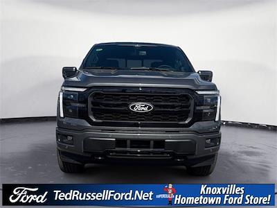 2025 Ford F-150 SuperCrew Cab 4x4 Pickup for sale #KE76521 - photo 2