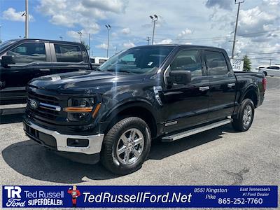2024 Ford F-150 SuperCrew Cab 4x4 Pickup for sale #KP71812 - photo 1