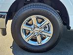Used 2025 Ford F-150 XLT SuperCrew Cab for sale #0QA49139 - photo 8