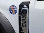 2025 Ford F-550 Regular Cab DRW 4x2 Cab Chassis for sale #0SA04903 - photo 9