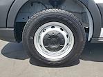 New 2025 Ford Transit 250 Low Roof Empty Cargo Van for sale #0SA97846 - photo 7