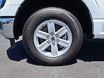 New 2025 Ford F-150 XL Regular Cab Pickup for sale #0SD51178 - photo 7