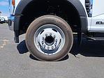 2025 Ford F-550 Crew Cab DRW 4x2 Scelzi Contractor Truck for sale #0SD65558 - photo 8