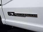 2025 Ford F-550 Crew Cab DRW 4x2 Cab Chassis for sale #0SD69536 - photo 10