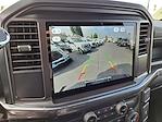 New 2025 Ford F-150 STX SuperCrew Cab for sale #0SF39120 - photo 27
