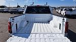 2025 Ford F-150 SuperCrew Cab 4WD Pickup for sale #0SF58715 - photo 6