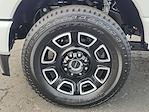 2026 Ford F-350 Crew Cab SRW 4WD Pickup for sale #0TD34182 - photo 5