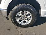Used 2023 Ford F-150 XLT SuperCrew Cab for sale #0UB69672 - photo 8