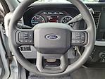 2024 Ford F-250 Crew Cab 4WD Pickup for sale #0UE11310 - photo 24