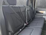 2010 Ford F-150 SuperCrew Cab 4x2 Pickup for sale #AKC11018 - photo 19