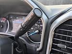 2020 Ford F-250 Crew Cab 4x4 Pickup for sale #LEE07077 - photo 12