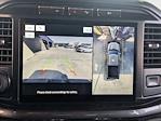 2022 Ford F-150 SuperCrew Cab 4x4 Pickup for sale #NKD98246 - photo 12