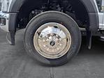 2024 Ford F-550 Regular Cab DRW 4x2 Scelzi Contractor Truck for sale #RDA26281 - photo 10
