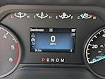New 2024 Ford F-350 Regular Cab 12' Scelzi Contractor Truck for sale #REF26737 - photo 11