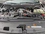 2024 Ford F-250 Crew Cab 4x4 Pickup for sale #REF41896 - photo 17