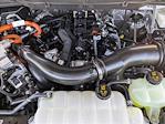 2024 Ford F-150 SuperCrew Cab 4x4 Pickup for sale #RFB81709 - photo 26