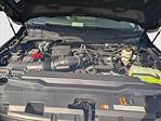 2025 Ford F-250 Crew Cab 4x4 Pickup for sale #SEC73377 - photo 9