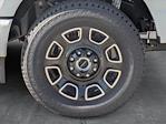 2025 Ford F-350 Crew Cab SRW 4x4 Pickup for sale #SEC75374 - photo 10