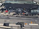 2025 Ford F-350 Crew Cab SRW 4x4 Pickup for sale #SEC94285 - photo 17
