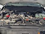 2025 Ford F-250 Crew Cab 4x4 Pickup for sale #SED03854 - photo 17