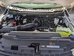 2025 Ford F-250 Super Cab 4x2 Pickup for sale #SED28457 - photo 16