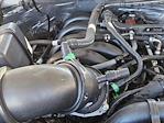2025 Ford F-350 Regular Cab SRW 4x2 Service Truck for sale #SED92188 - photo 15