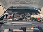 New 2025 Ford F-250 XLT Crew Cab 4x4 Pickup for sale #SEE07649 - photo 17